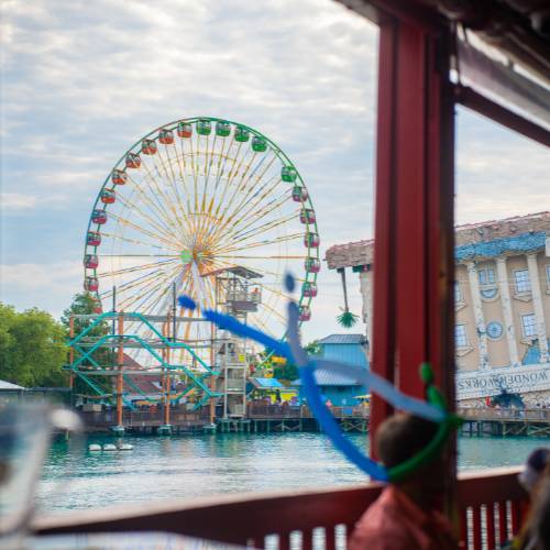 Señor Frog’s Myrtle Beach